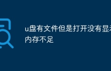 u盘有文件但是打开没有显示内存不足