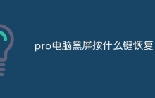 pro电脑黑屏按什么键恢复