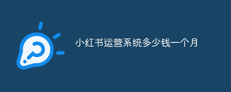小红书运营系统多少钱一个月
