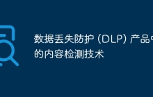数据丢失防护 (DLP) 产品中的内容检测技术