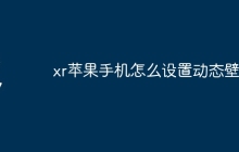 xr苹果手机怎么设置动态壁纸