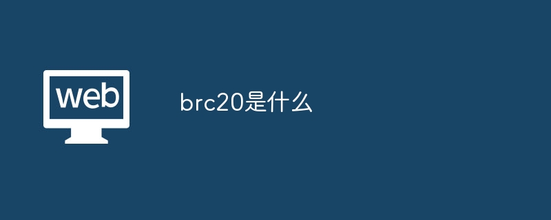 brc20是什么