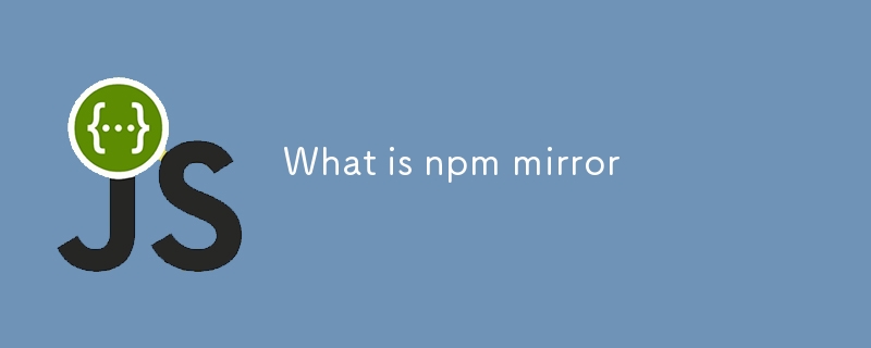 Qu'est-ce que le miroir npm