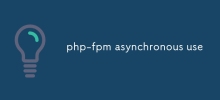 utilisation asynchrone de php-fpm