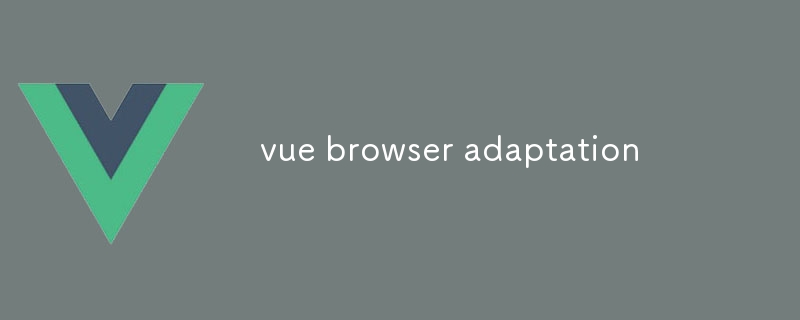 vue browser adaptation