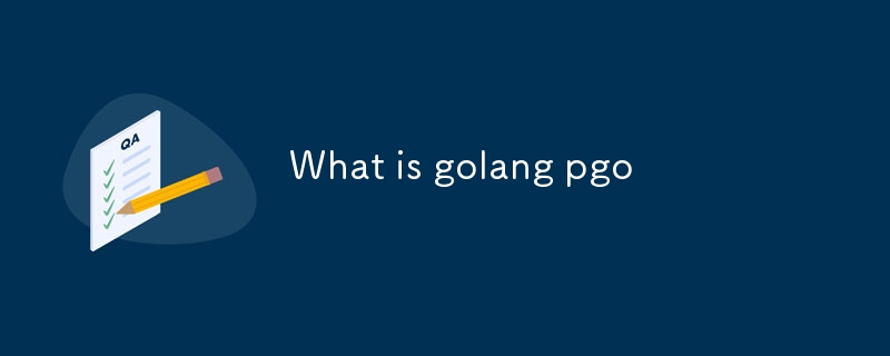 golang pgo是什麼