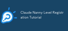 Claude Nanny Level-Registrierungs-Tutorial