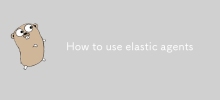 如何使用Elastic Agents