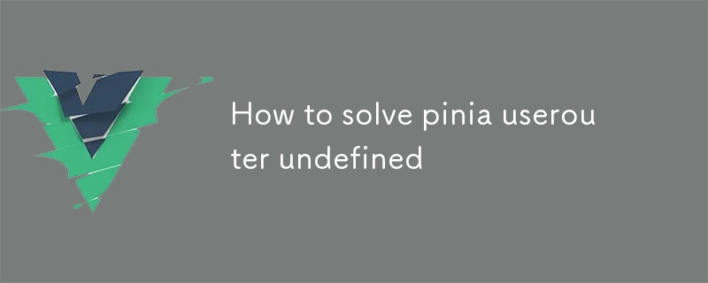 pinia userouter 정의되지 않은 문제를 해결하는 방법