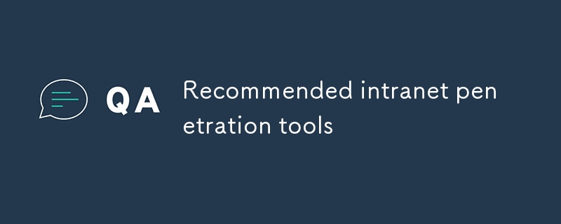 Recommended intranet penetration tools