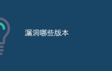 漏洞哪些版本