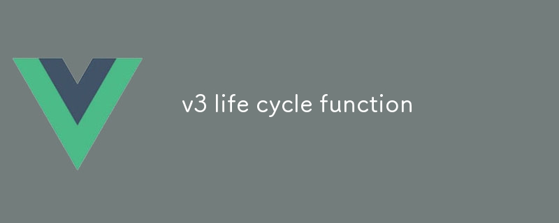 v3 life cycle function