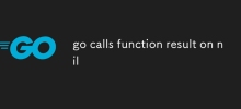 go は nil で関数の結果を呼び出します