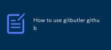 How to use gitbutler github