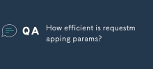 How efficient is requestmapping params?