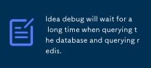 idea debug 遇到查詢資料庫和查詢redis會等很久