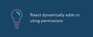 React dynamically adds routing permissions