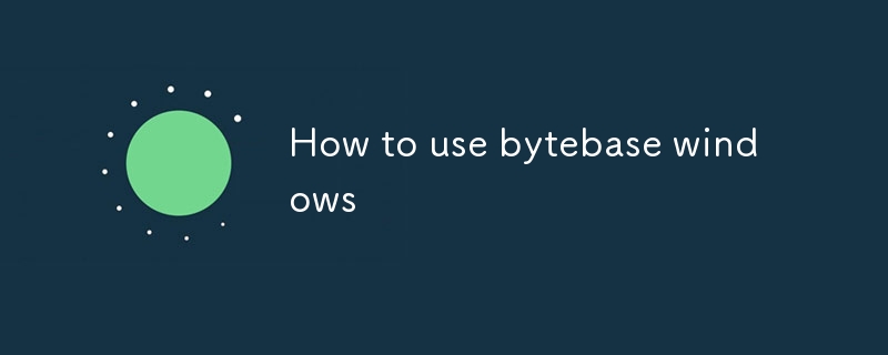 How to use bytebase windows