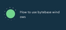 bytebase windows怎么使用