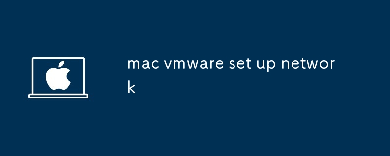 mac vmware set up network