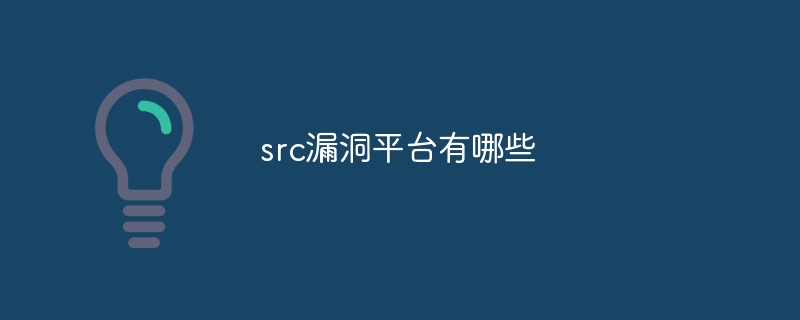 src漏洞平台有哪些