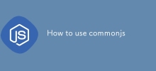 How to use commonjs