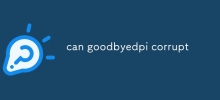 can goodbyedpi corrupt