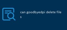 can goodbyedpi delete files