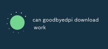 can goodbyedpi download work