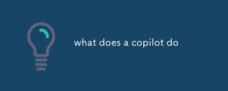 what does a copilot do