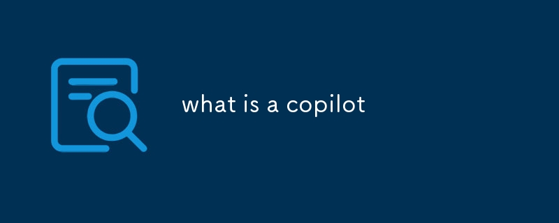 what is a copilot