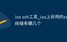 ios ssh工具_ios上好用的ssh终端有哪几个