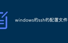 windows的ssh的配置文件