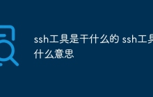 ssh工具是干什么的 ssh工具什么意思