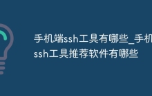 手机端ssh工具有哪些_手机端ssh工具推荐软件有哪些