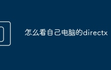 怎么看自己电脑的directx
