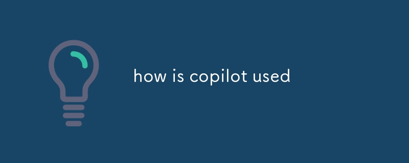 copilot 是如何使用的