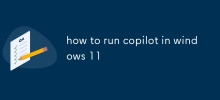 wie man copilot in Windows 11 ausführt