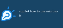 copilot wie man Microsoft verwendet