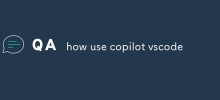 copilot vscode 사용 방법