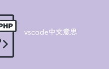 vscode中文意思