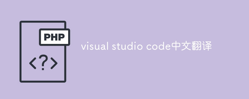 visual studio code中文翻译