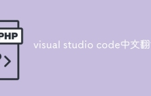 visual studio code中文翻译