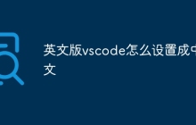 英文版vscode怎么设置成中文