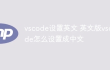 vscode设置英文 英文版vscode怎么设置成中文