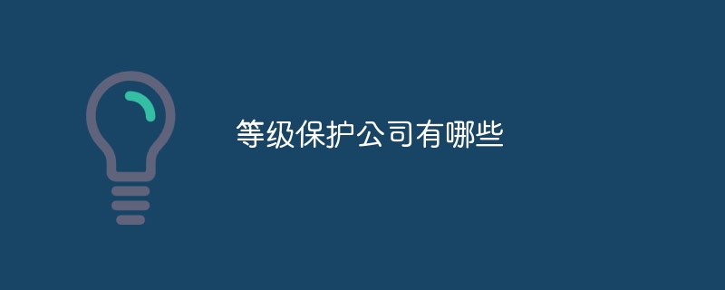 等级保护公司有哪些