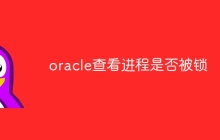 oracle查看进程是否被锁