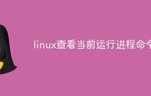 linux查看当前运行进程命令