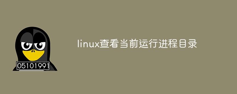 linux查看当前运行进程目录-小浪学习网