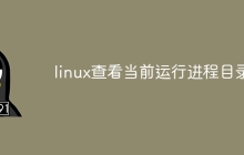 linux查看当前运行进程目录